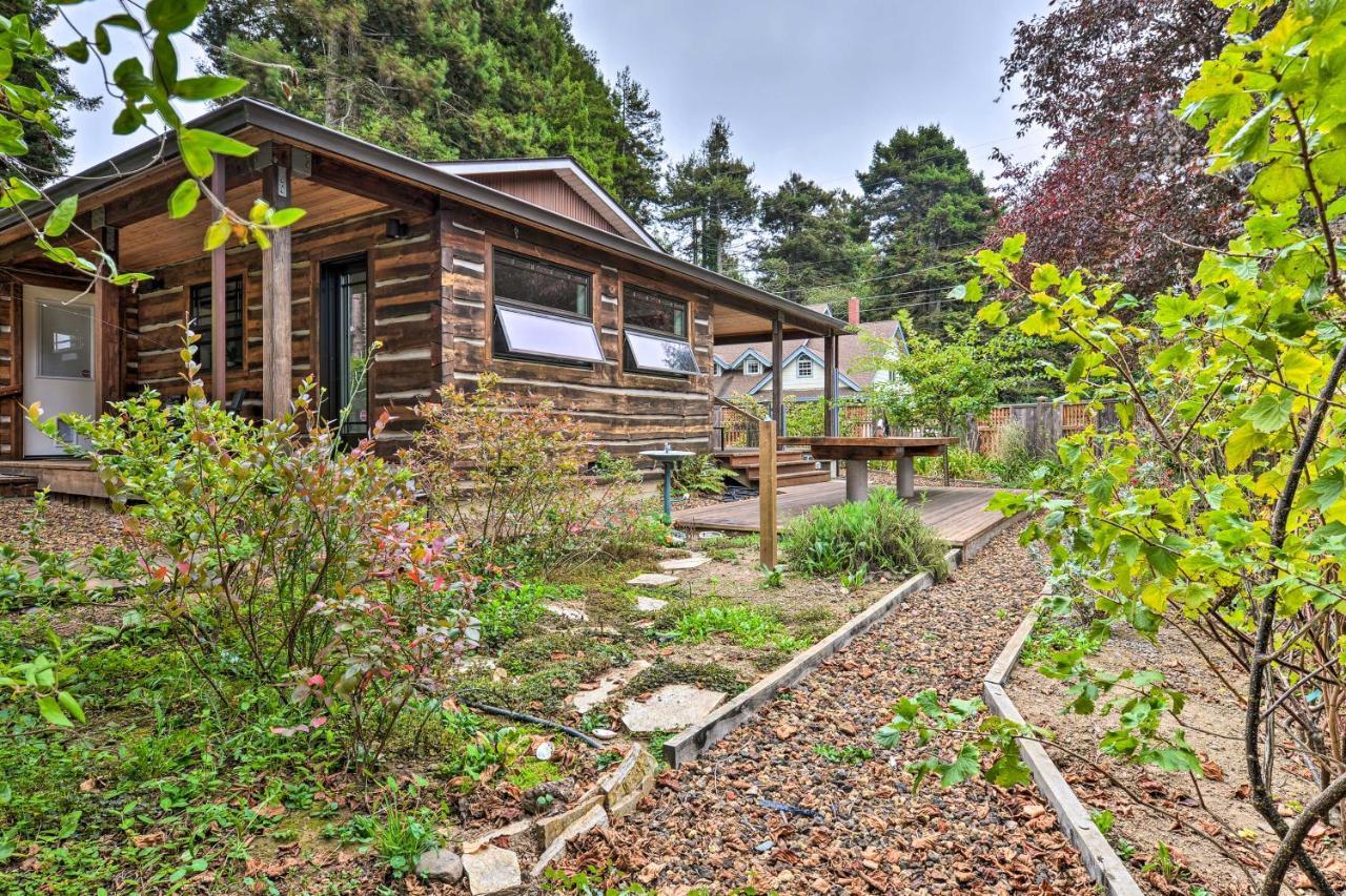 Quiet And Cozy Near Sequoia Park And Zoo! Holiday home *
