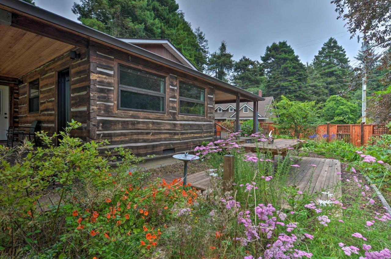 Quiet And Cozy Near Sequoia Park And Zoo! * Eureka